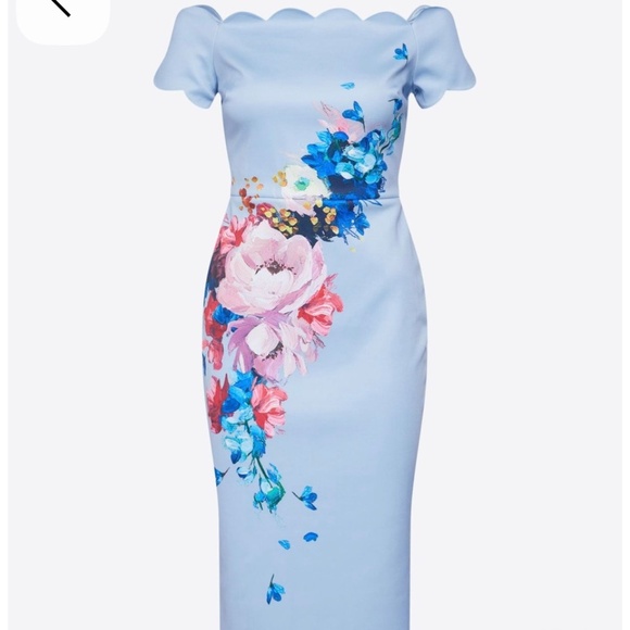 NWT Ted Baker Hailly Bardot Dress in Raspberry Ripple Size 3 US Size 8 - Picture 4 of 12